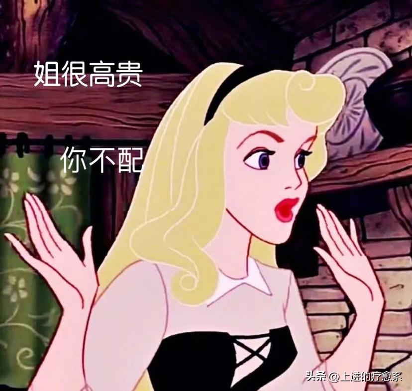 十二星座的恋爱原则：

白羊：别骗我
金牛：别催我
双子：别管我
巨蟹：别冷我