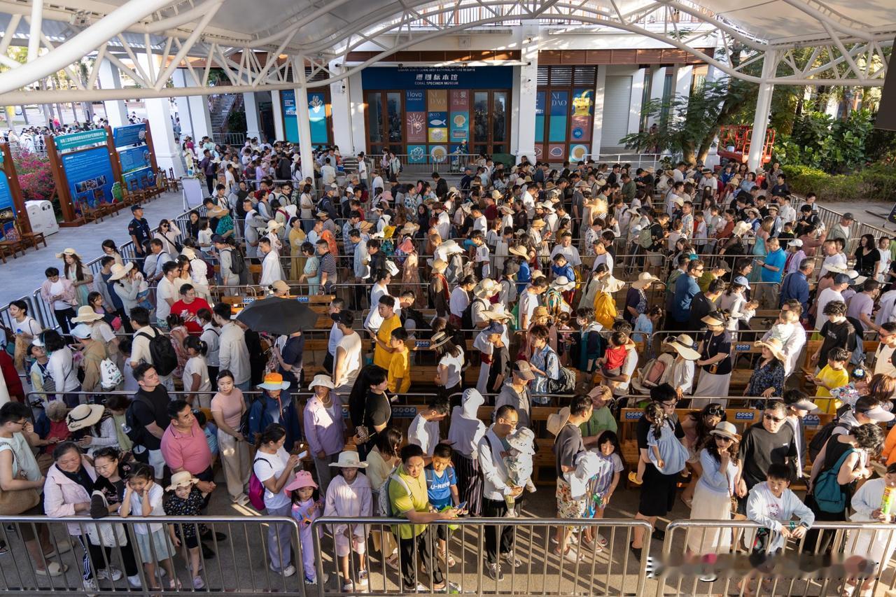 被西岛的诚意打动了！刚看到官方公告，春节假期结束了，但暖心服务继续——大年初八到