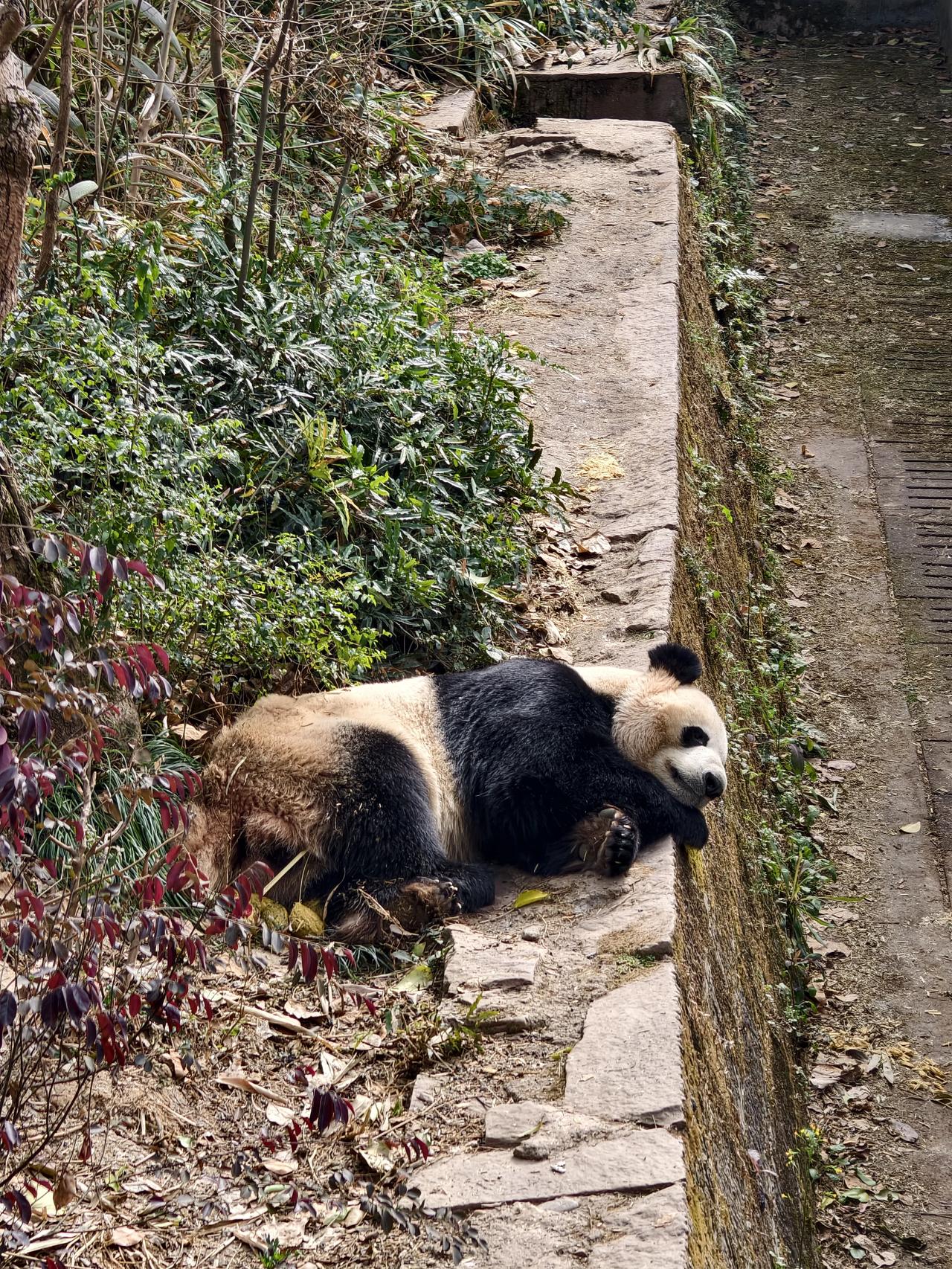 在恋爱中，切忌不要有过多的心理活动，别对方一句话一个行为，就胡思乱想，坐卧不安，