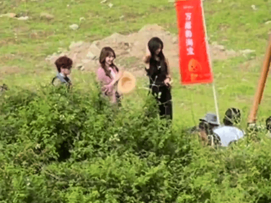 胡先煦与现在就出发汇合太好了，就是个原班人马爽[赞] ​​​