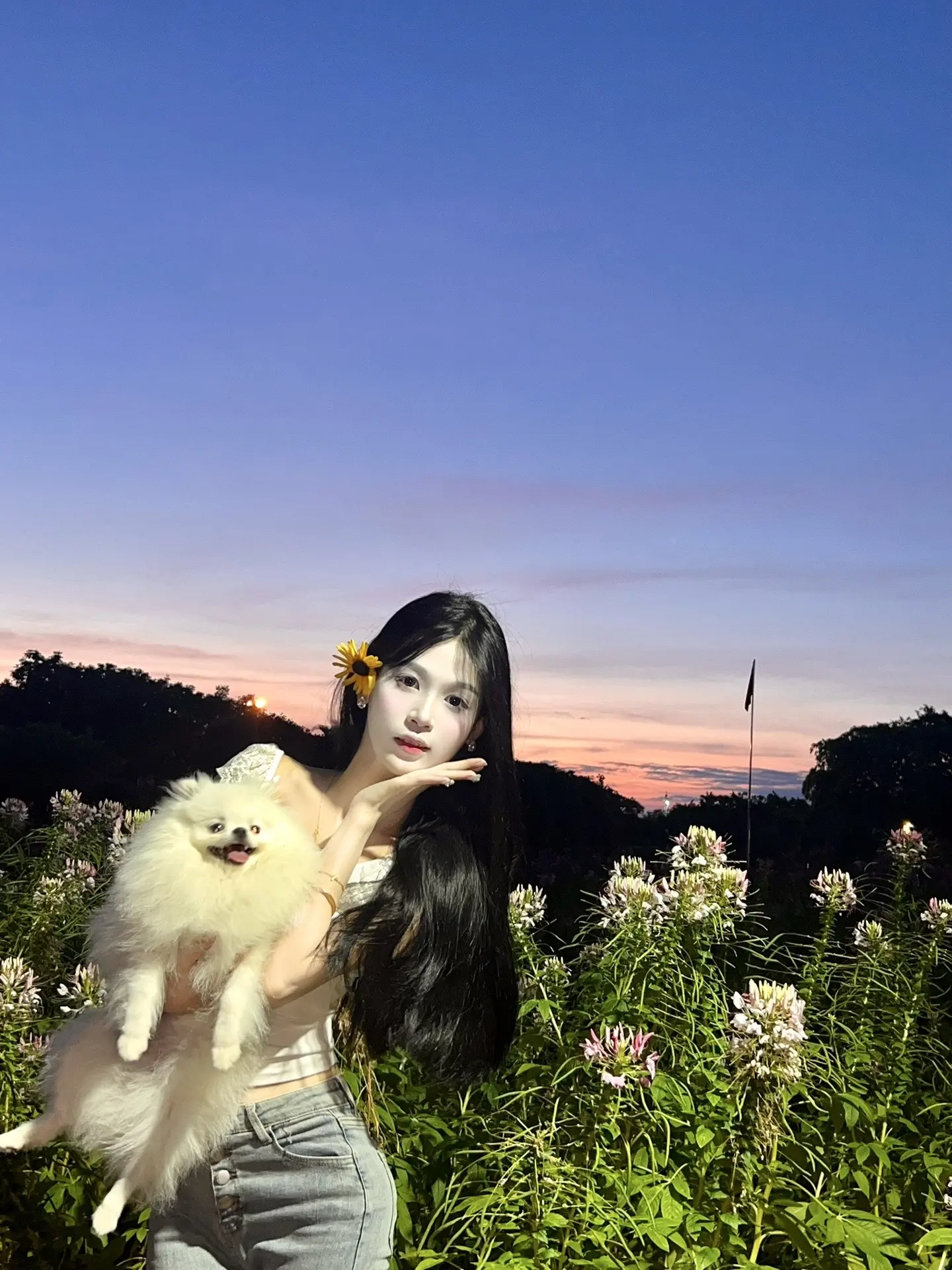 我是自由的风，你是木纳的树