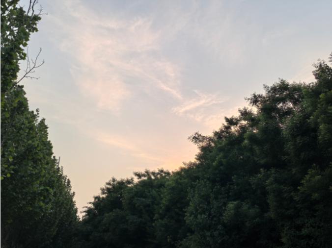 央视最后还是以6000万美元的价格拿下了世界杯转播权，这目前来说应该算是一个三赢