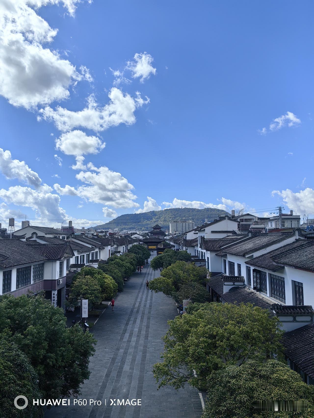 老了的底气，从不是儿女的孝顺，也不是存折上的数字，而是藏在日常里的自持与清醒。