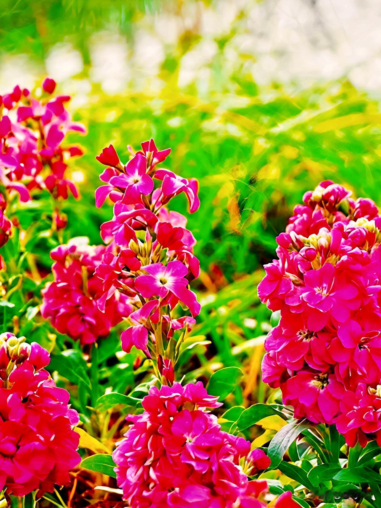 粗茶淡饭皆是寻常，故人聚散本就无常。只要灵魂始终热气腾腾，生活自会向阳生长。万般