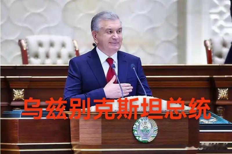 中国战机首次进入中亚市场，打破俄系战机的长期垄断。

乌兹别克斯坦给中亚国家做出