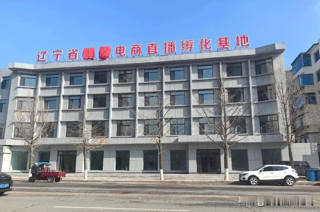 东北雨姐在本溪县小市火车站对面投资1800万盖个大楼用作辽宁省电商孵化基地。听网