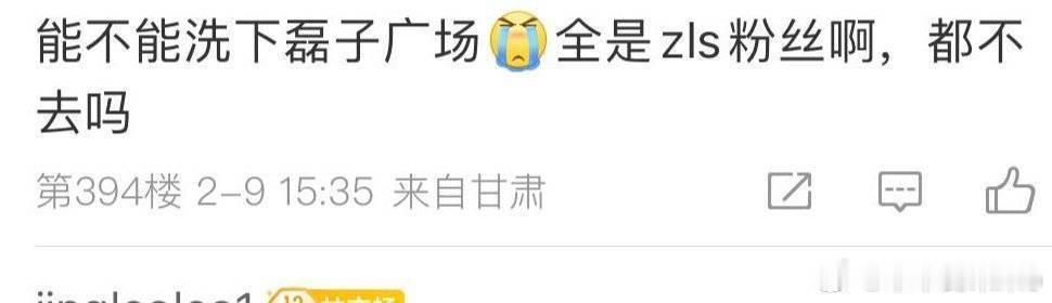 赵露思炫崽狂魔 接tg小蕾丝：广场热门全是赵露思粉丝，都不去吗[泪]吴磊大粉，你