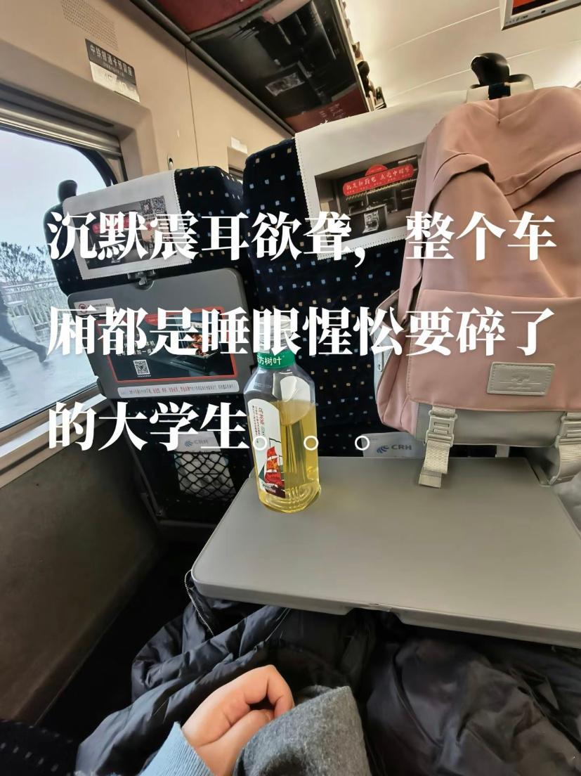 沉默的车厢都是碎掉的大学生[喵喵]#龙年造梗大赛##本命年许愿池# ​​​