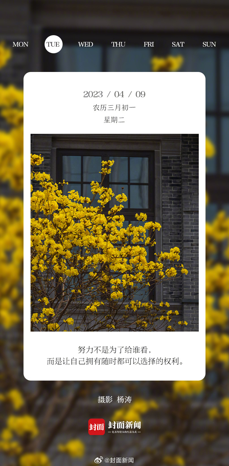 #小封日历#3秒回答：今天周几？[哈欠] ​​​