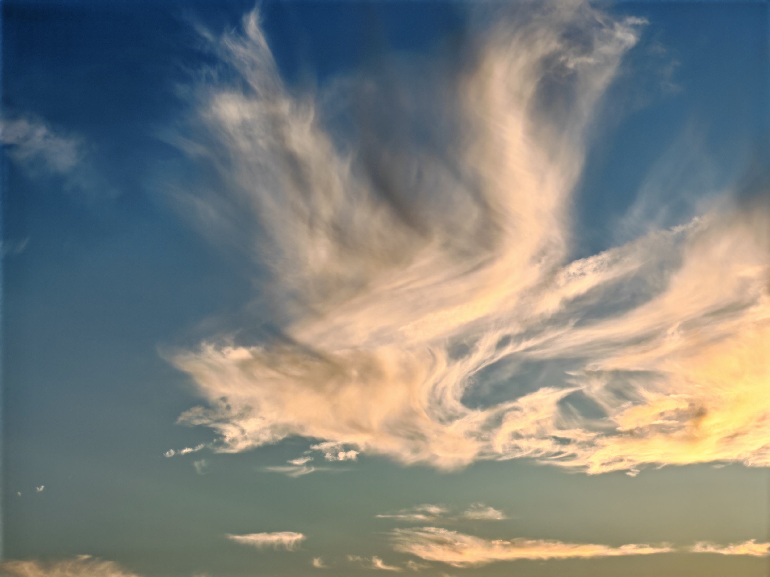 像什么。 ​​​