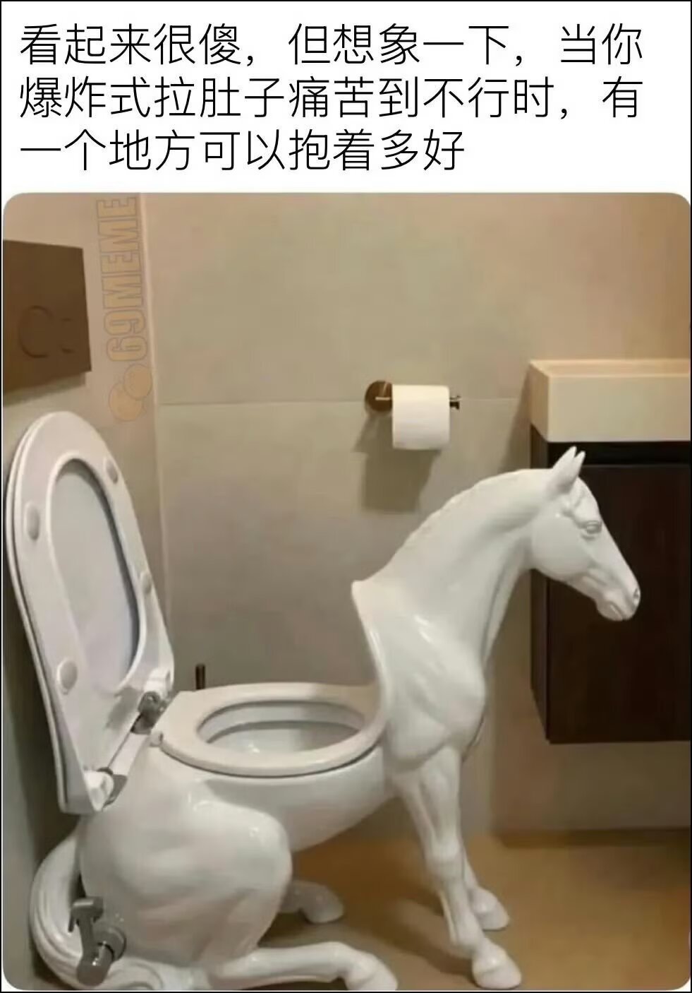 9018坐马桶上变骑士了 