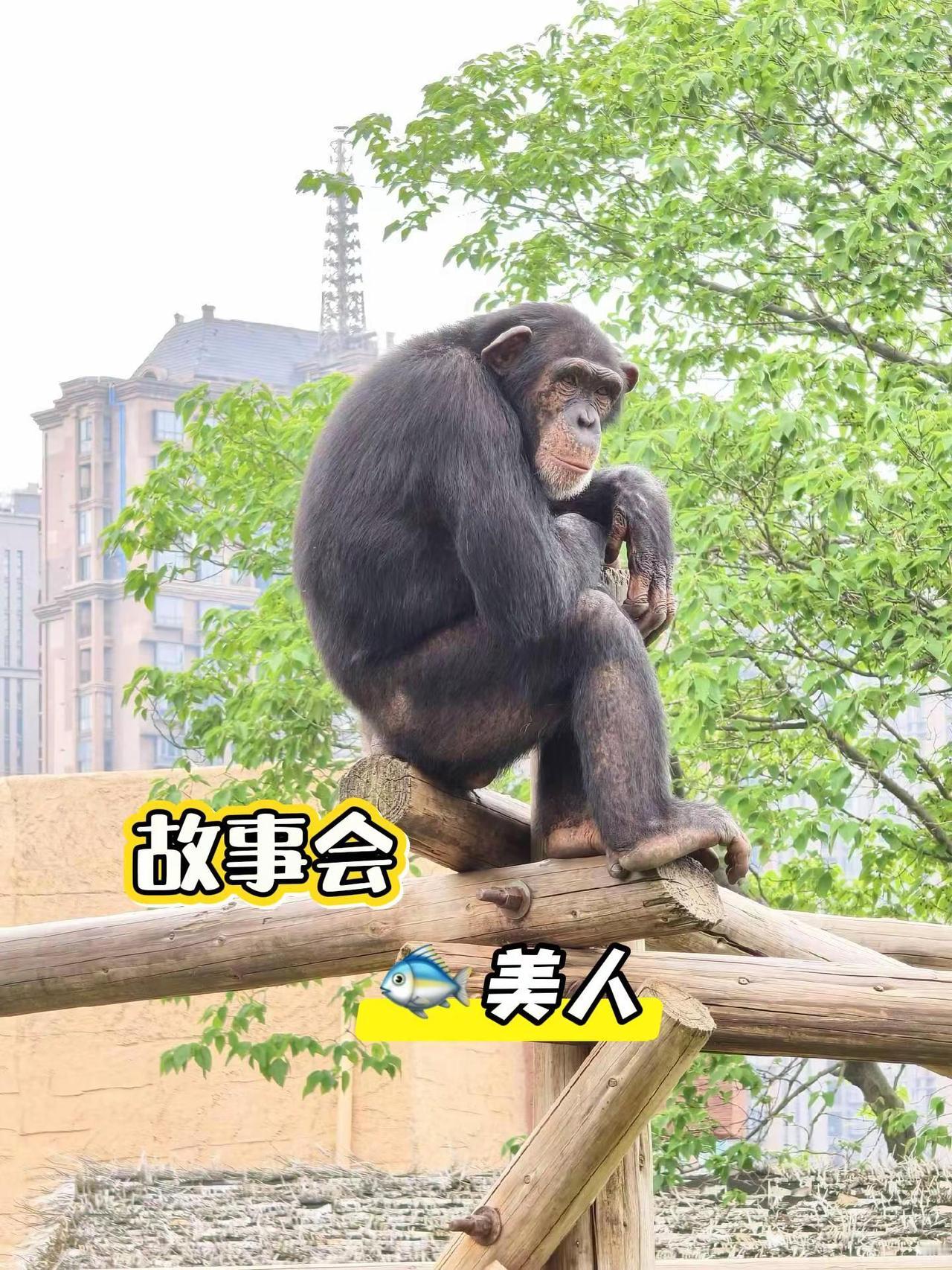 听故事，涨知识故事 故事会