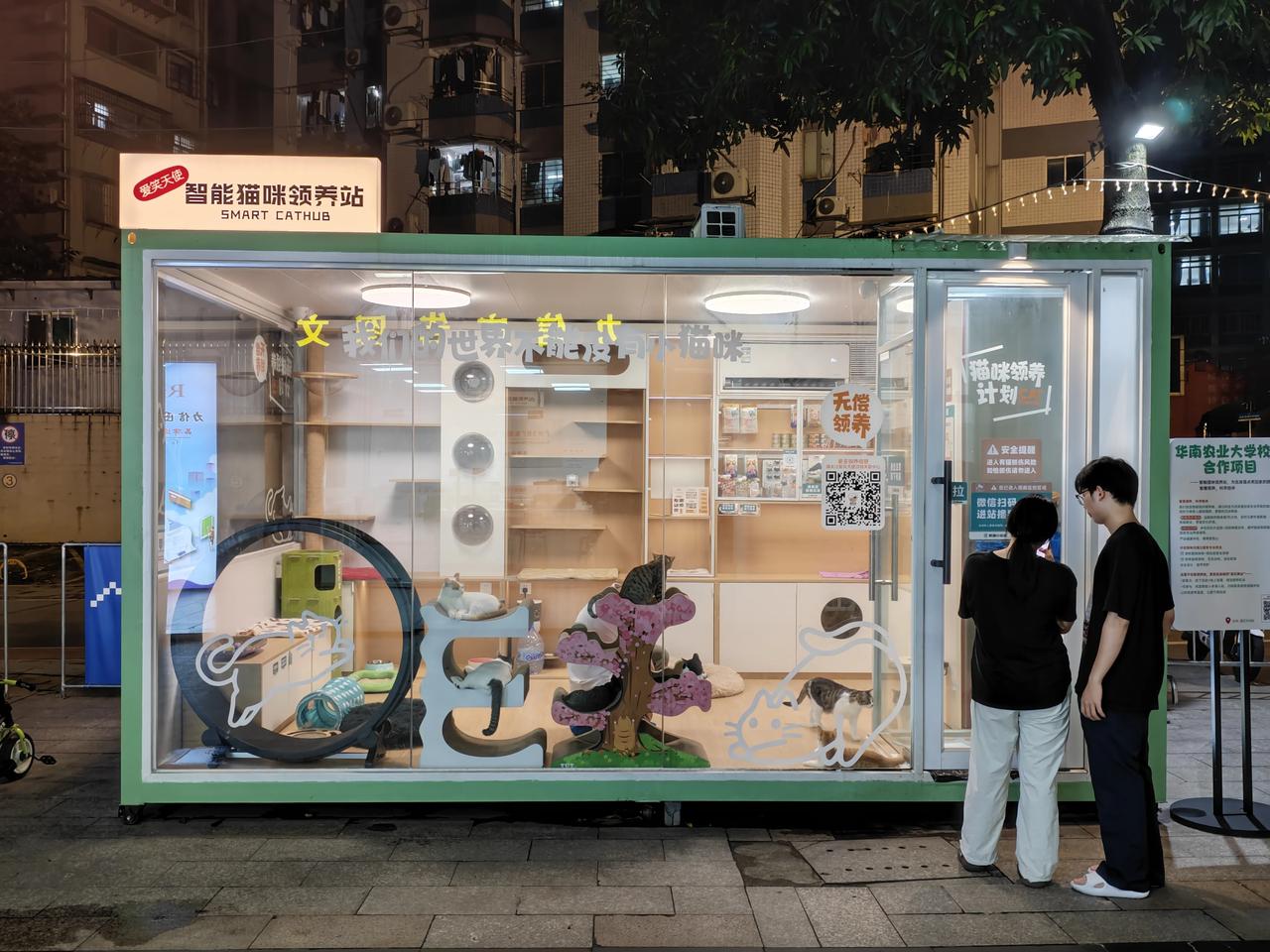 广州街头不知何时，出现了这种流浪猫的领养站。除了领养，还可以扫码进去里面撸猫，做