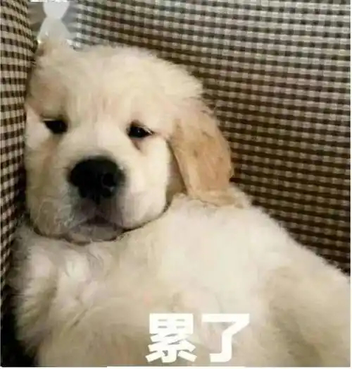 一堆这个定档，那个开播的。 