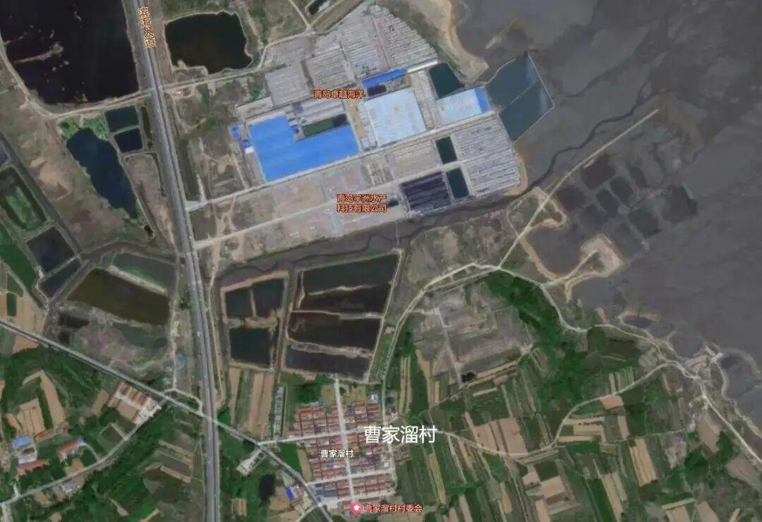 青岛西海岸再爆重磅！千万元地块底价成交，三文鱼与净水巨头暗藏玄机，背后竟牵出山东