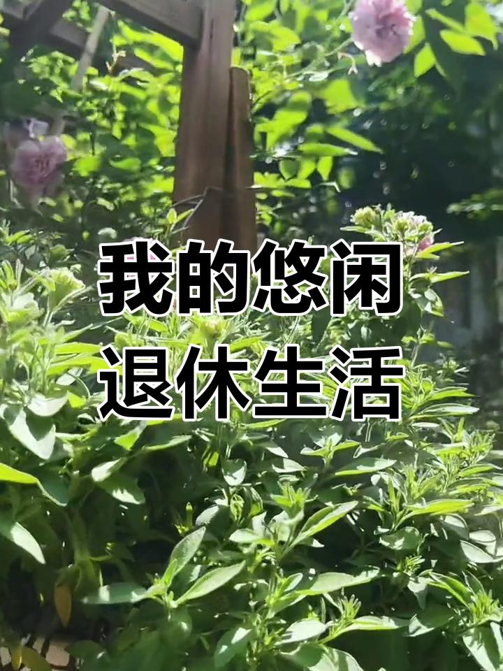 退休后你会选择旅居吗？

退休后，你会选择旅居吗？这是许多即将步入退休生活的人们