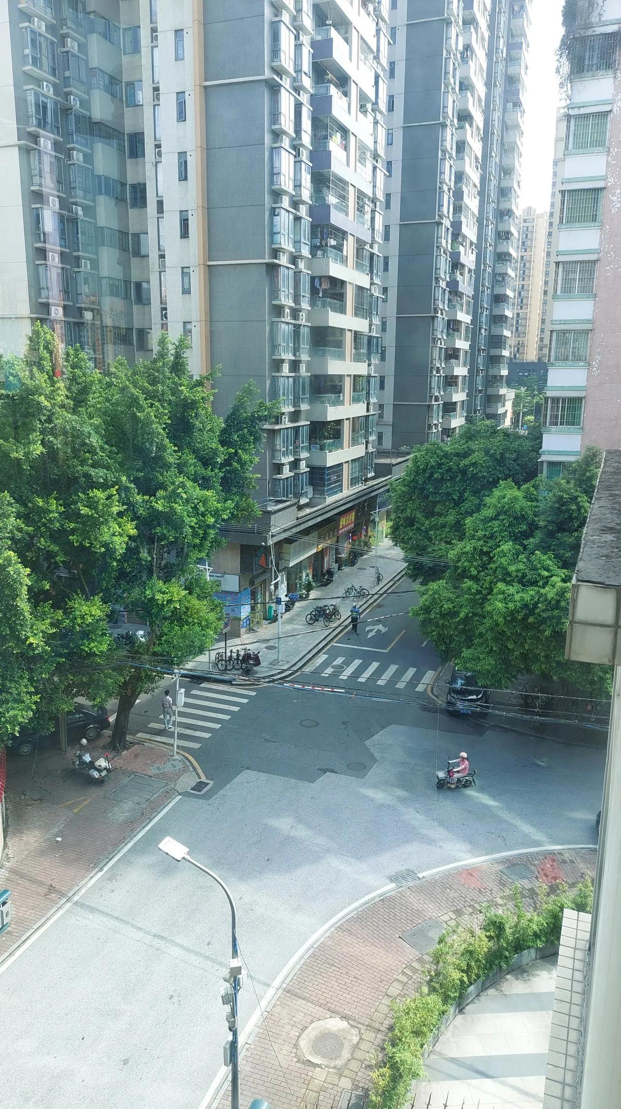 早上的十字路是非常安静的，来往的车辆很少，行人也少，只有中午学校学生放学后，才会
