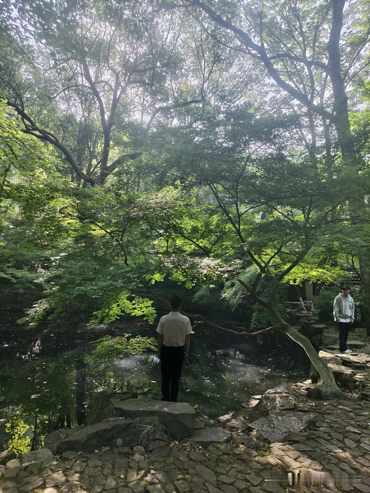 杭州虎跑公园美景