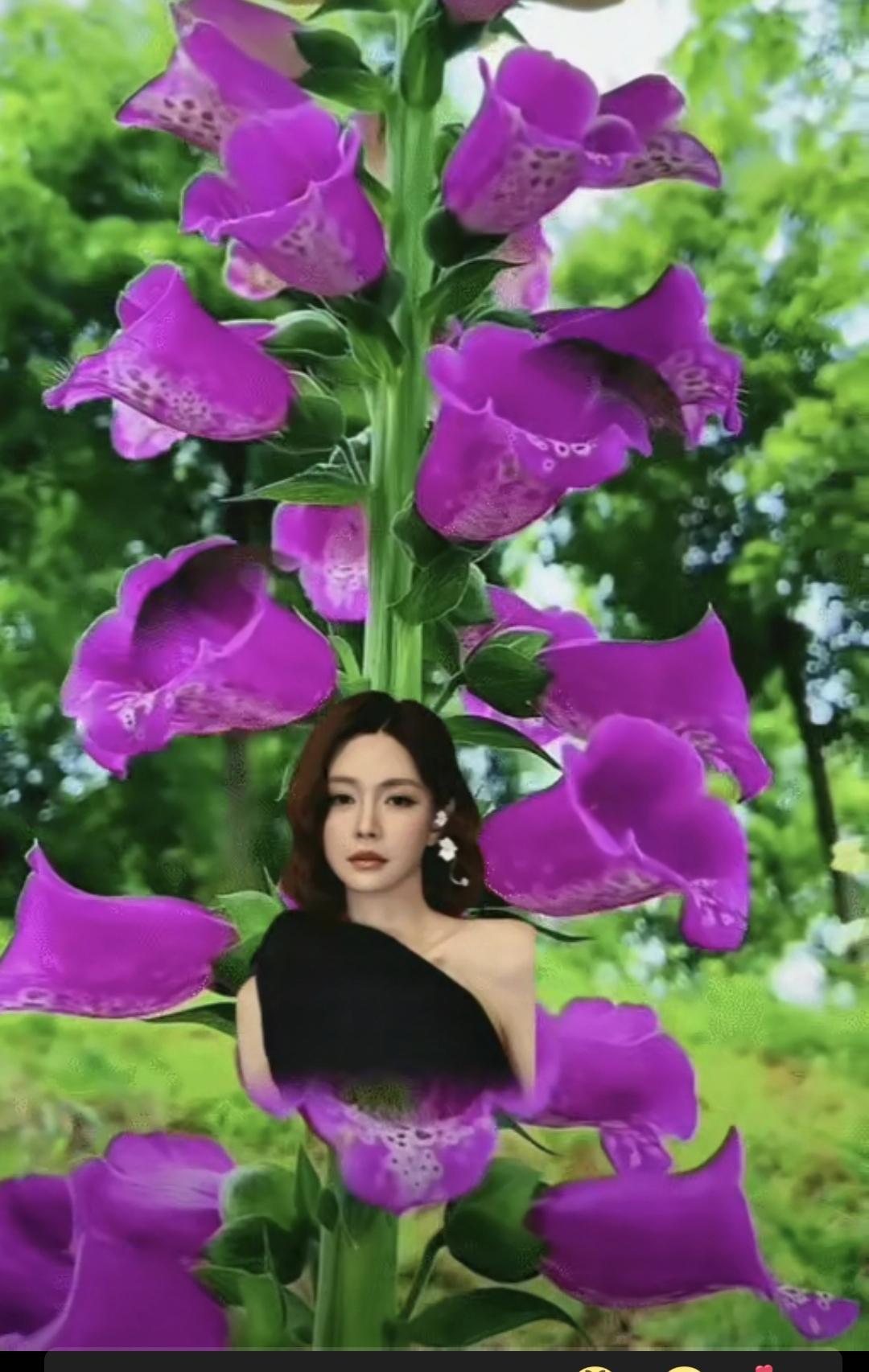 杜海涛让沈梦辰从盛开的紫罗兰中绽放，看起来秀恩爱有点老气，或者是大爷们的做派，可