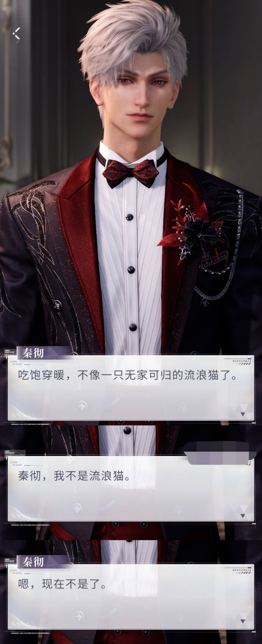有你的小猫不会流浪 