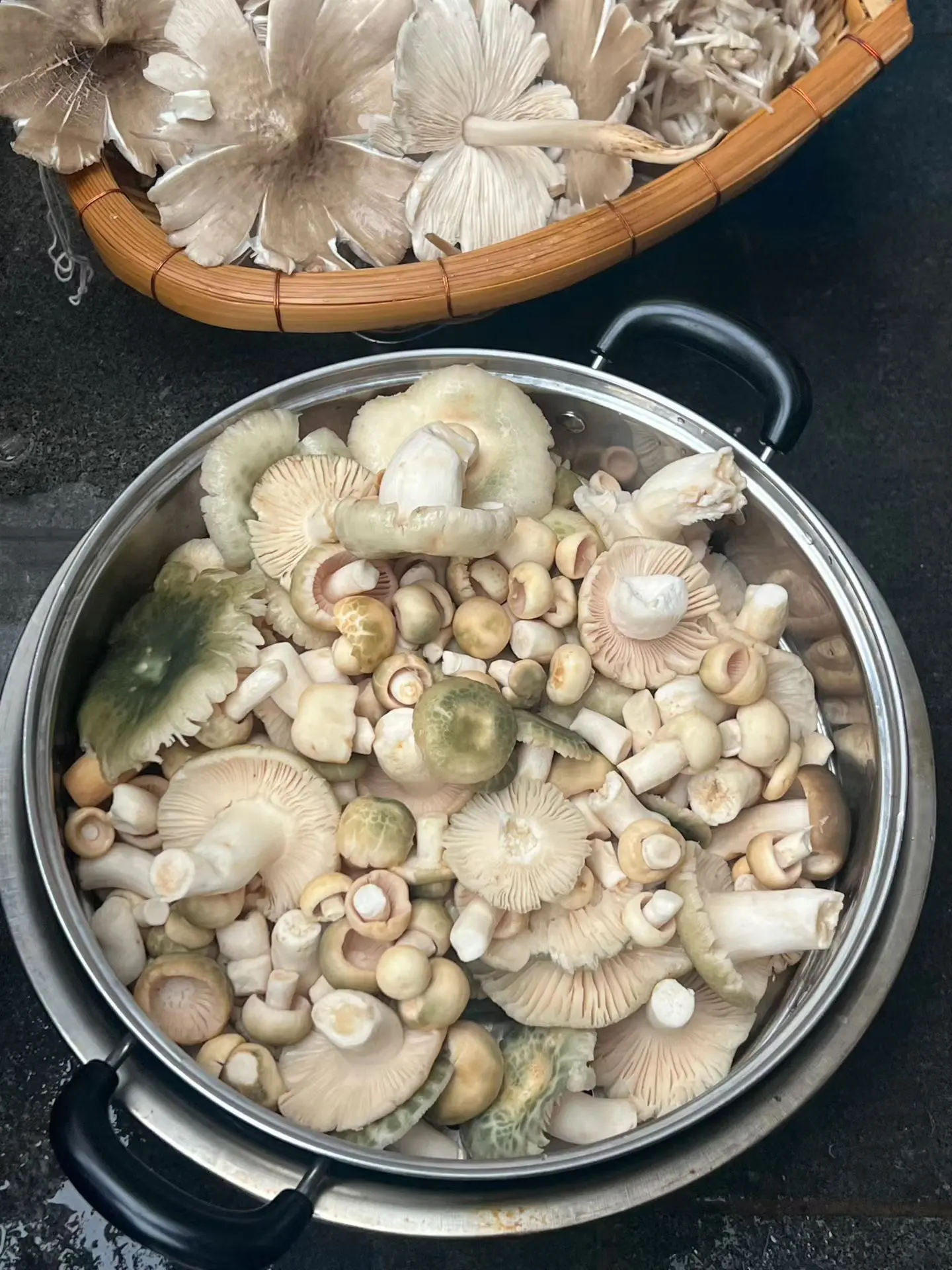 野生菌。