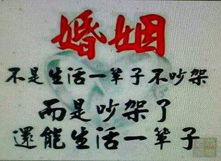 最近听到挺感性、挺对的一段话，
婚姻就是为了找个依靠，
有个人知冷知暖，
遇事有