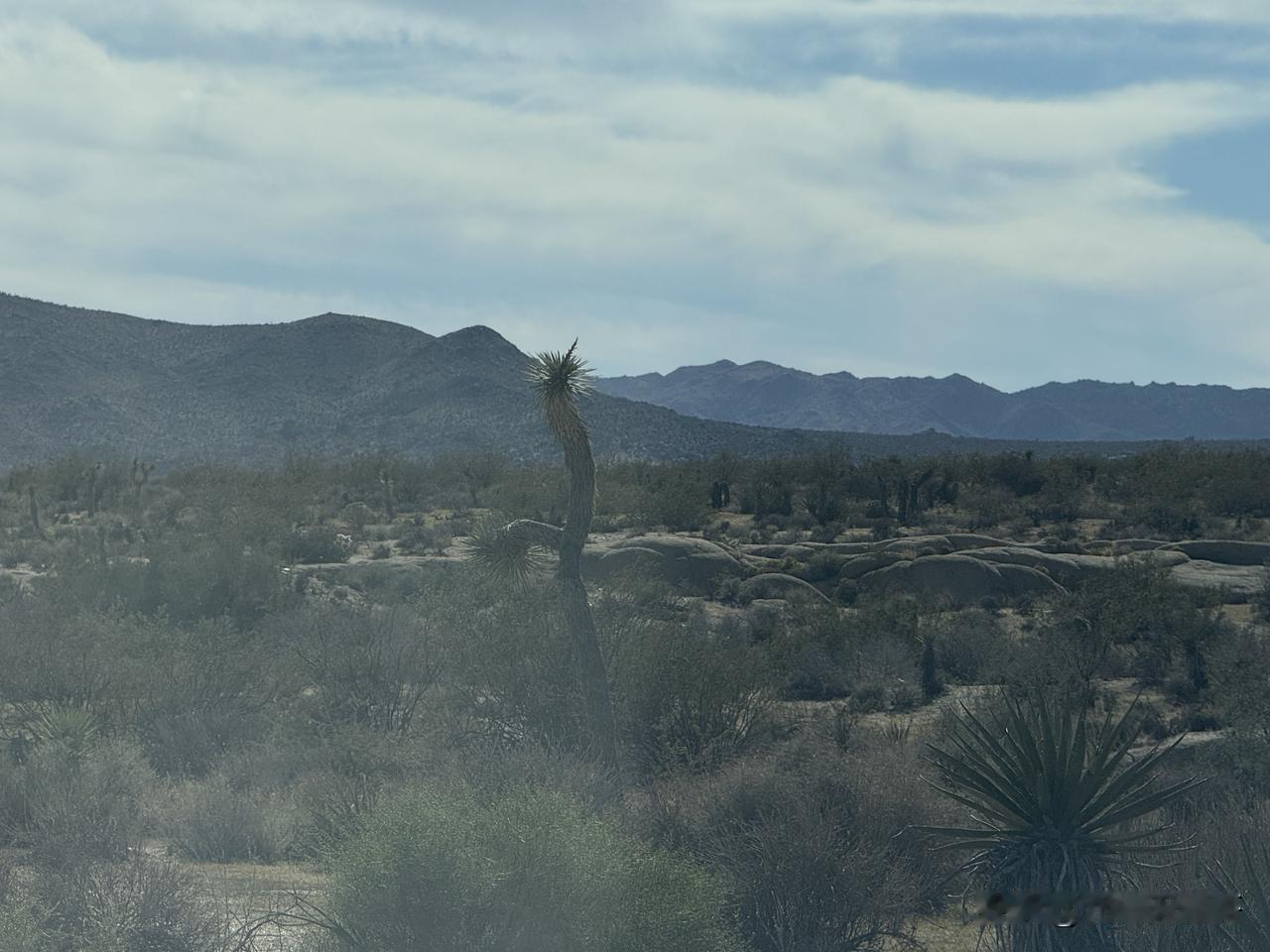 加州对60岁及以上老人免征房产税


  这是一个很好的提案，在加州60岁老人拥