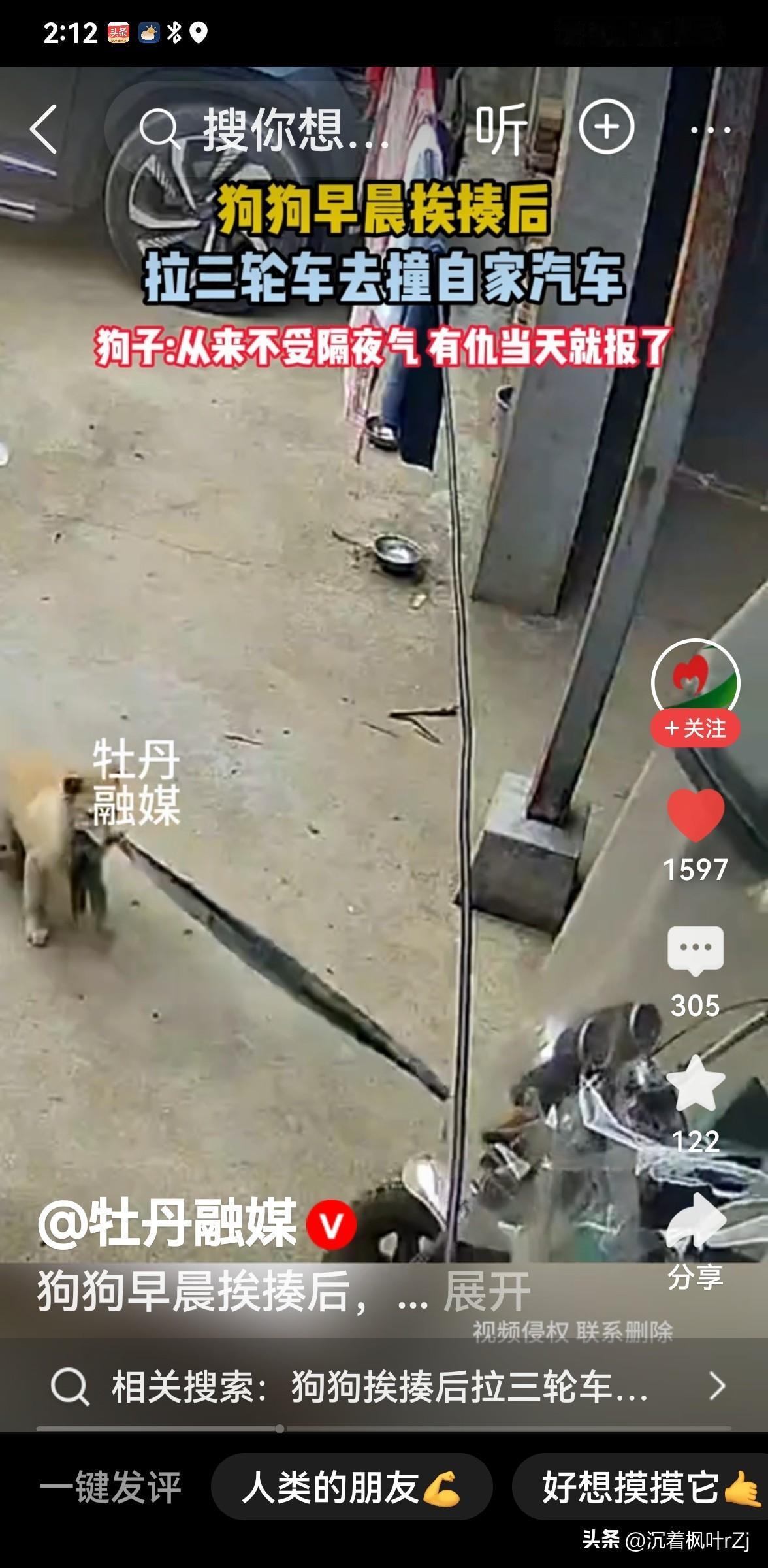 2026年2月5日早晨，河南新乡张先生发现幼犬将三轮车的防水篷布撕咬得支离破碎，