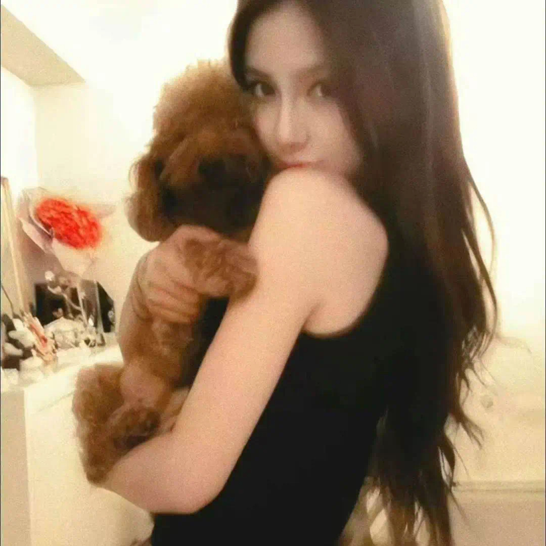 𝑾𝒆𝒄𝒉𝒂𝒕头像｜古早Angelababy 杨颖 ​​​