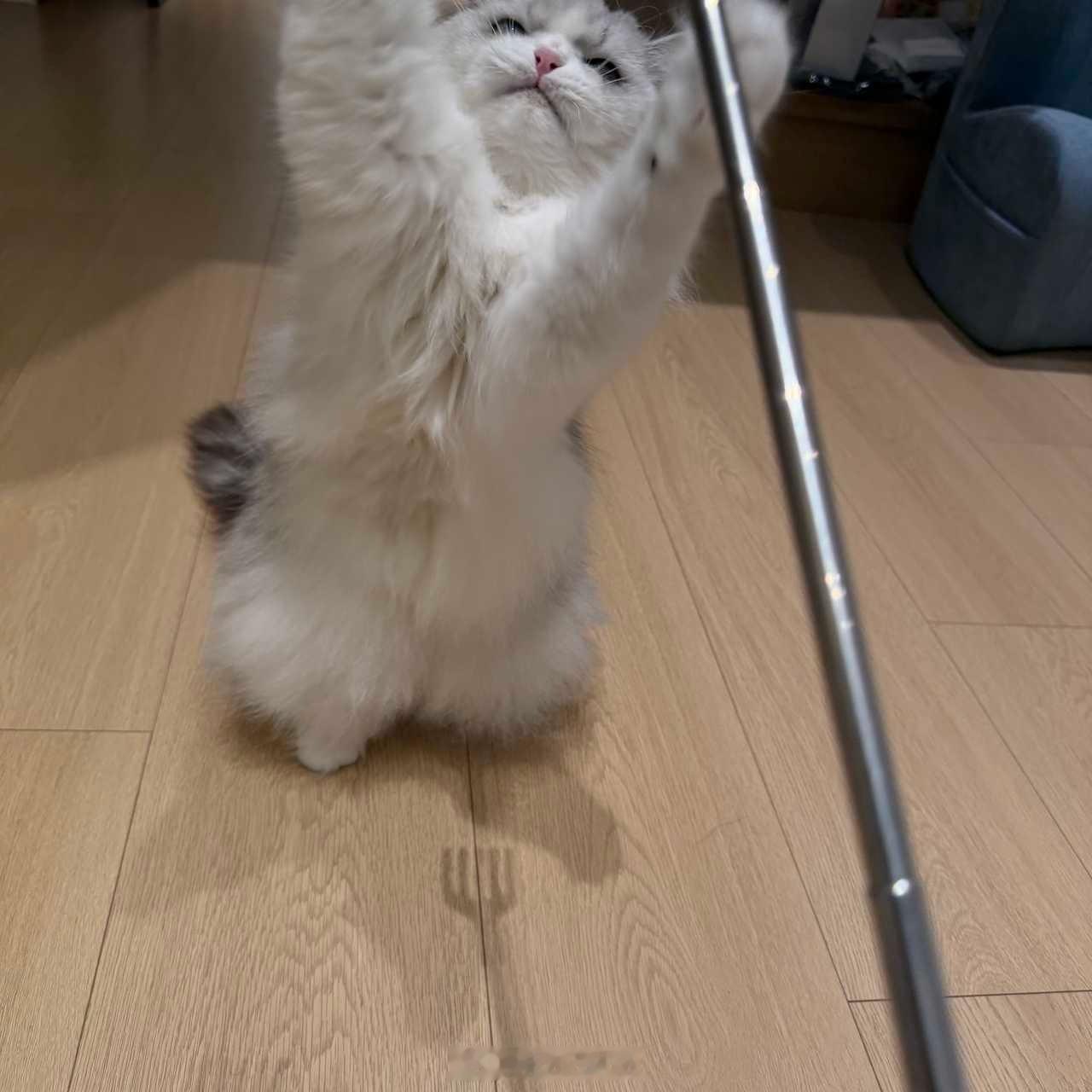 好好笑，武松打虎就这样 
