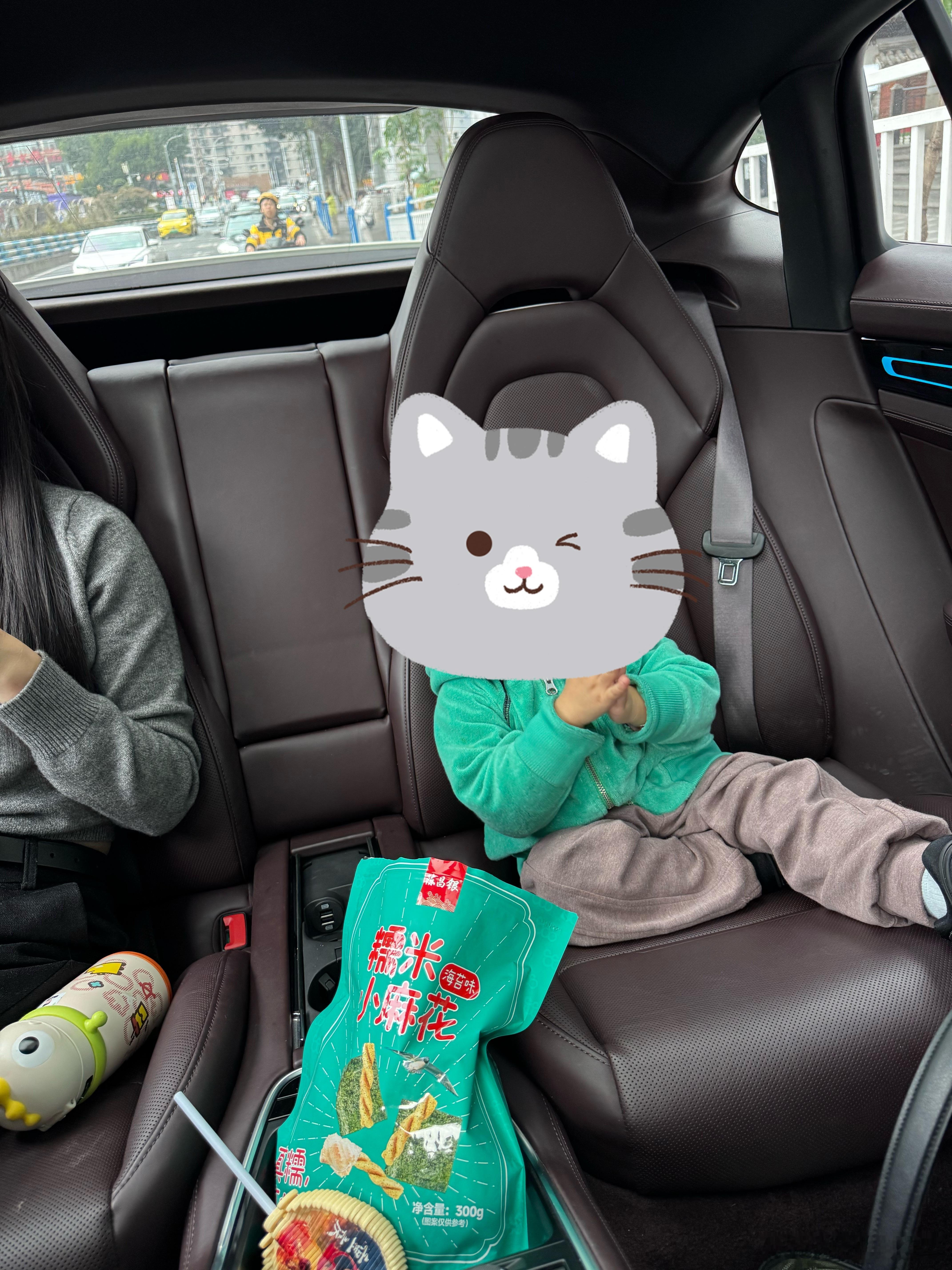 这次特地在重庆搞了个帕梅4座行政去对比感受下国产“芜湖迈巴赫”风云A9L光辉（四