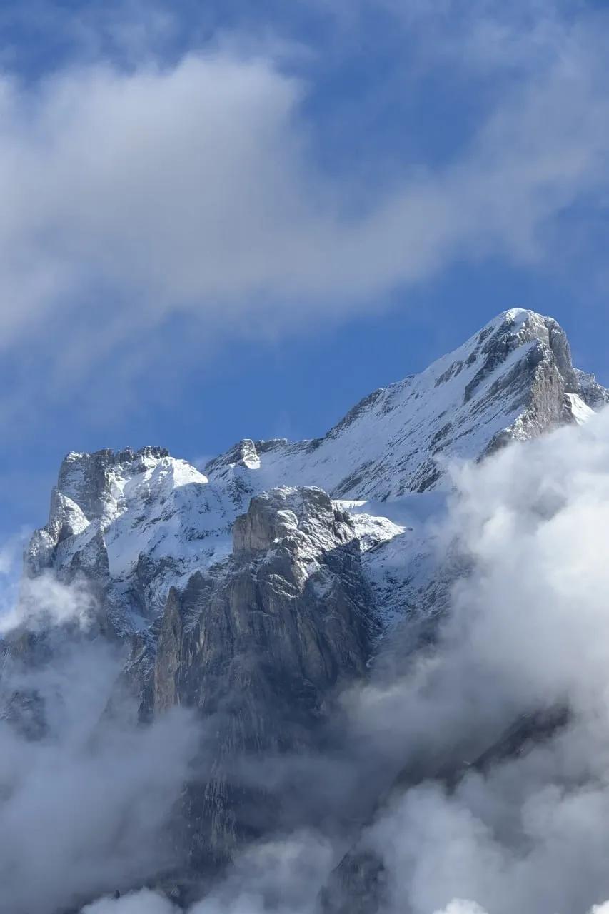 你考虑过带家人旅游过年吗瑞士  旅行   格林德瓦尔德  梦幻山坡分享一张美丽的