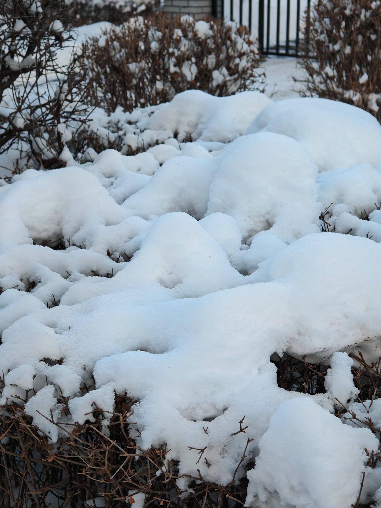 与痛风斗争的历程129
 
   晨起，天朗气清。连日来皆是这般好天气，室外虽寒