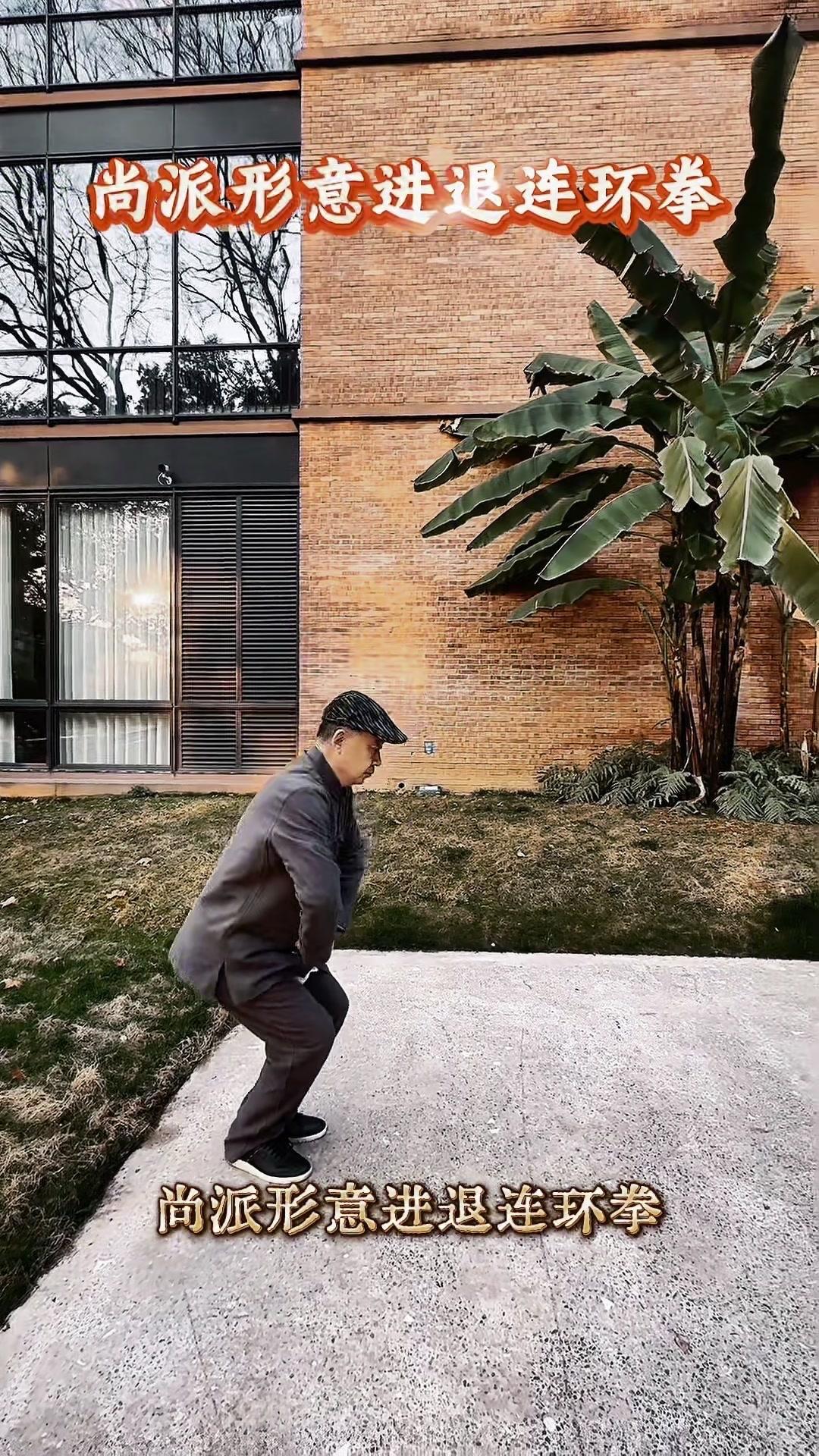 1️⃣五行连环：融劈崩钻炮横于一气，环环相扣又顿挫分明，节奏超带感！动作刚猛却不