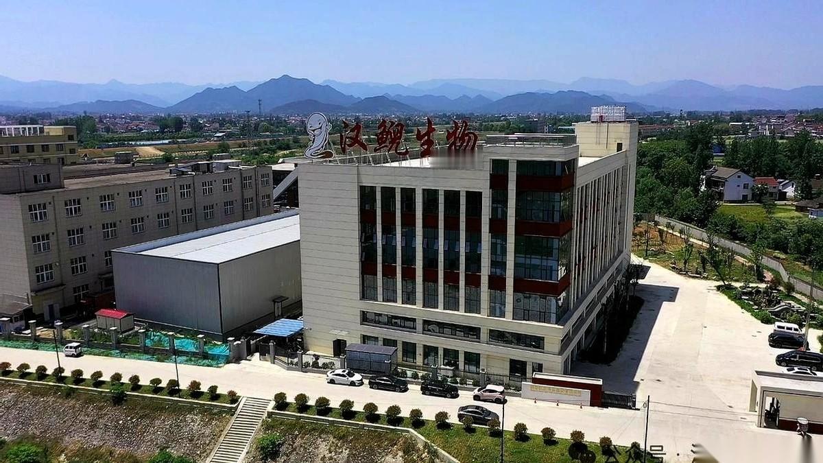 你敢信吗？
那个以前在菜市场按斤卖的“娃娃鱼”，现在竟然能提取出黑科技，直接用在