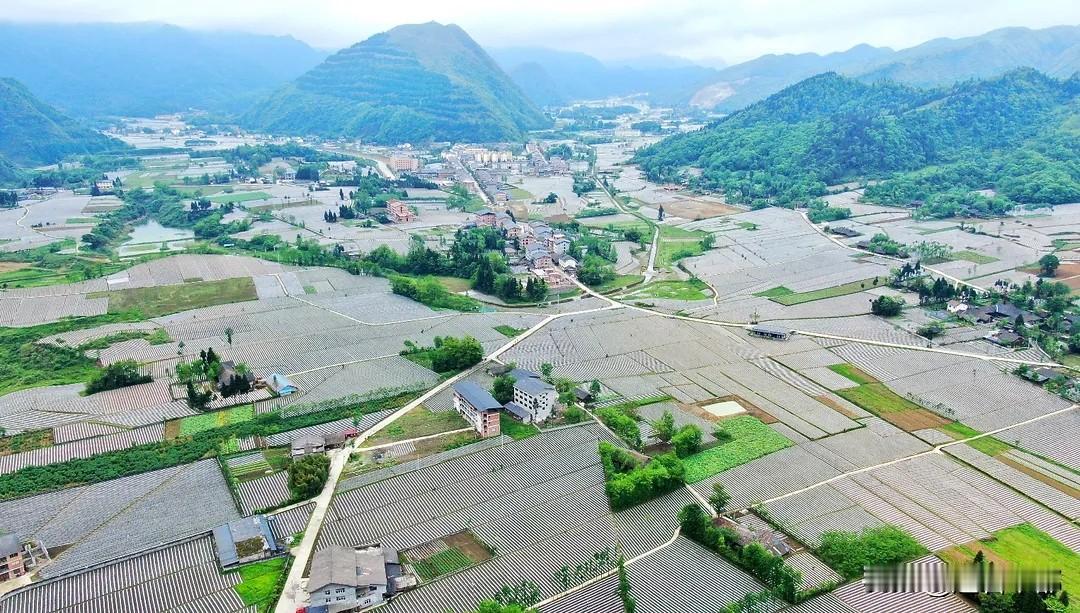 藏在丰都深山里的 “云上坝子”！云海、古迹与避暑宝藏都在这
在丰都东南边陲的群山