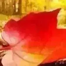 隔河相望，是我与你的最后温柔
 
与一个人，有一段往事，隔河相望。与一段往事，守