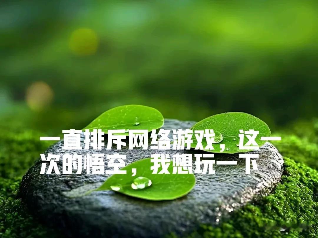 这么多年，我只打过两种游戏，第一款是坦克大战，第二款是三角洲。

记得，读高三时