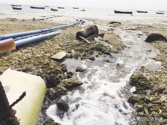 温州一养殖场将废水排入大海被罚12万

近日，温州市生态环境局苍南分局，查处了当