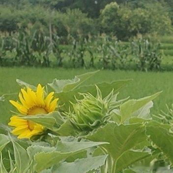 说个扎心的事：你身边有没有那种永远在抱怨、永远不满意的人？我之前有个同事，每天从