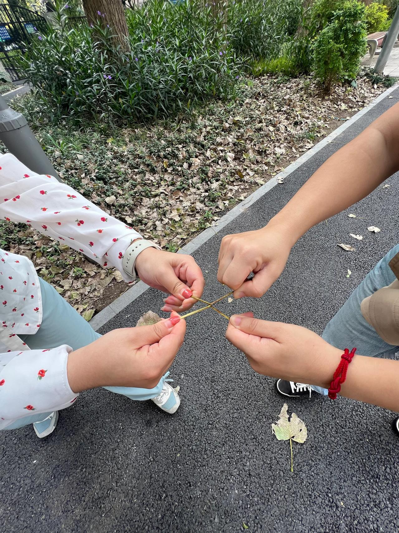 小时候每到秋天落叶时节，就会在路上满地捡树叶，北方多是杨树，小伙伴放学回家时眼睛