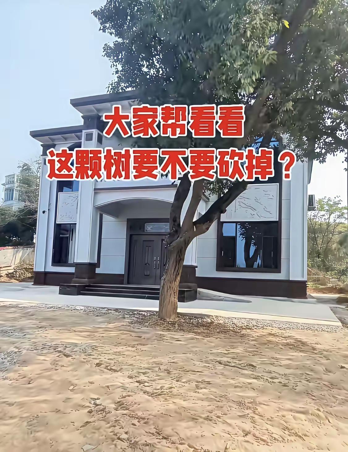 老师傅帮看看，房屋门前这颗树是砍了好，还是不砍好呢？给点建议！谢谢！[祈祷]