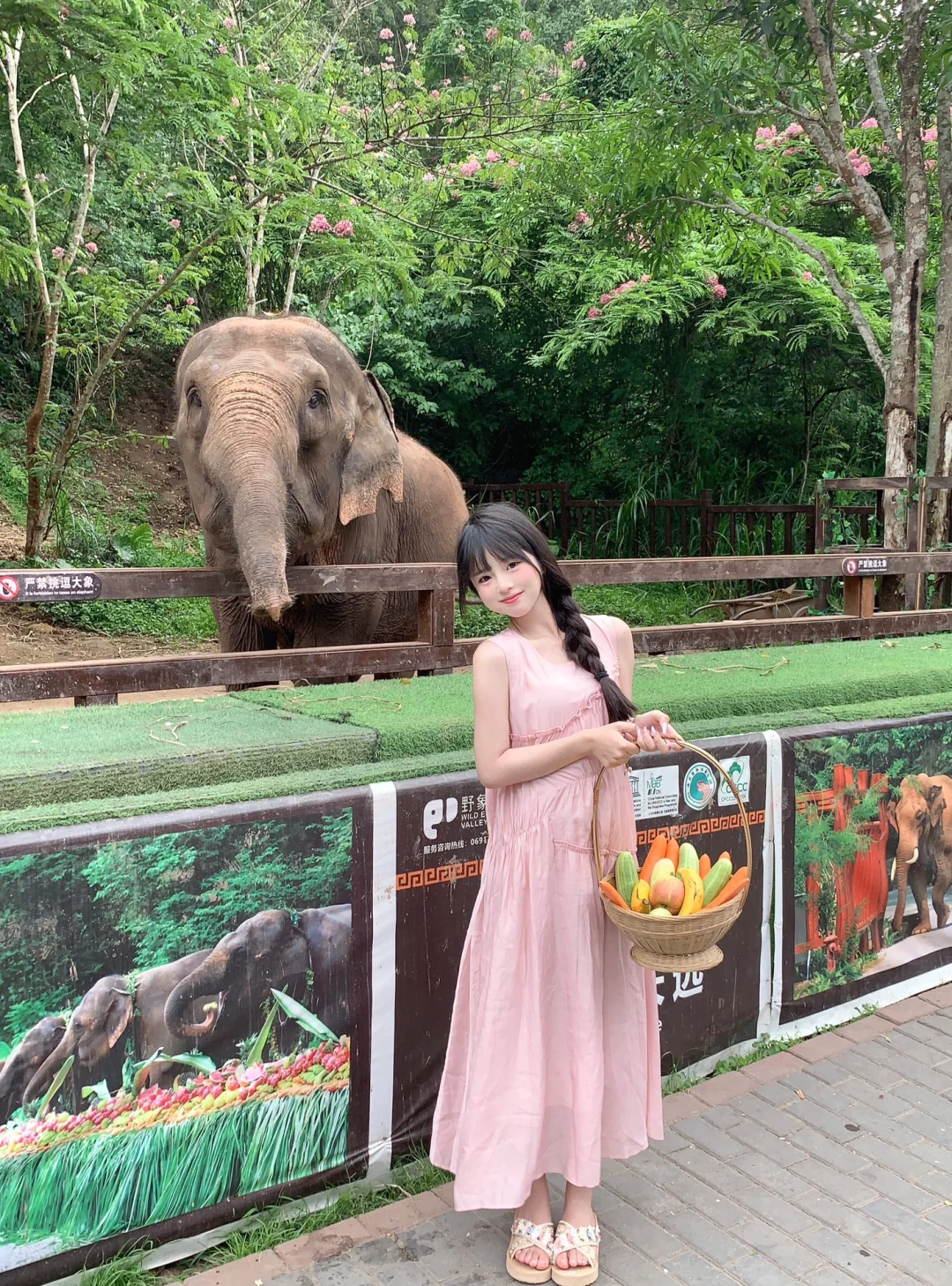 西双版纳野象谷🐘 ˊˎ -