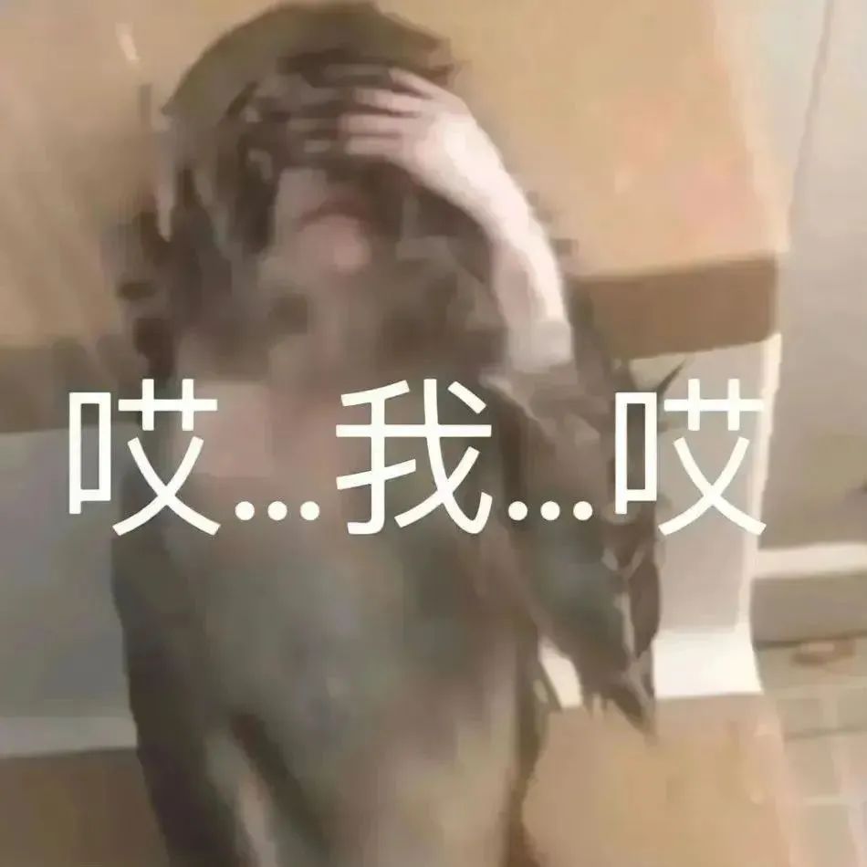 萌趣表情，点亮你的聊天世界 更新不易，拿图点赞[心]更多表情包请看主页[心] ​