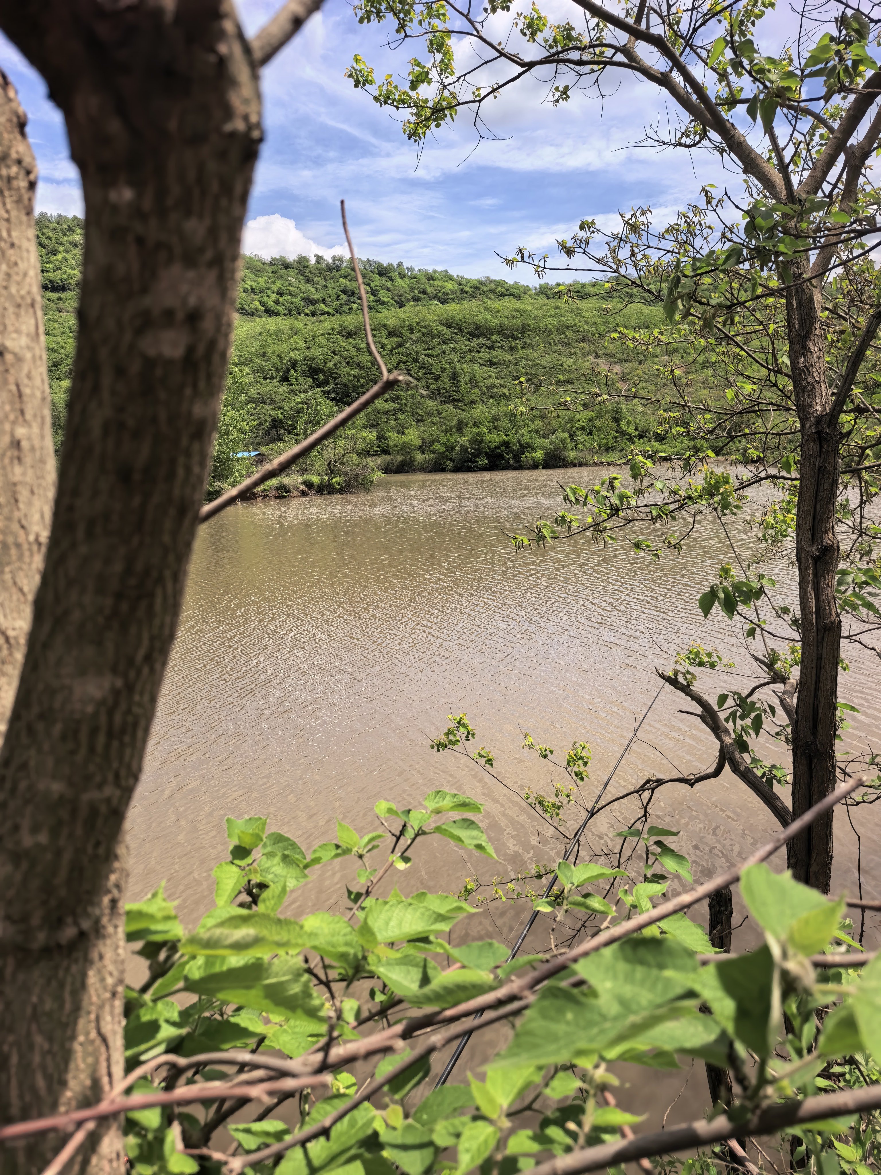 不冷不热，有温暖的太阳，有和煦的微风，今天天气正正好！ 