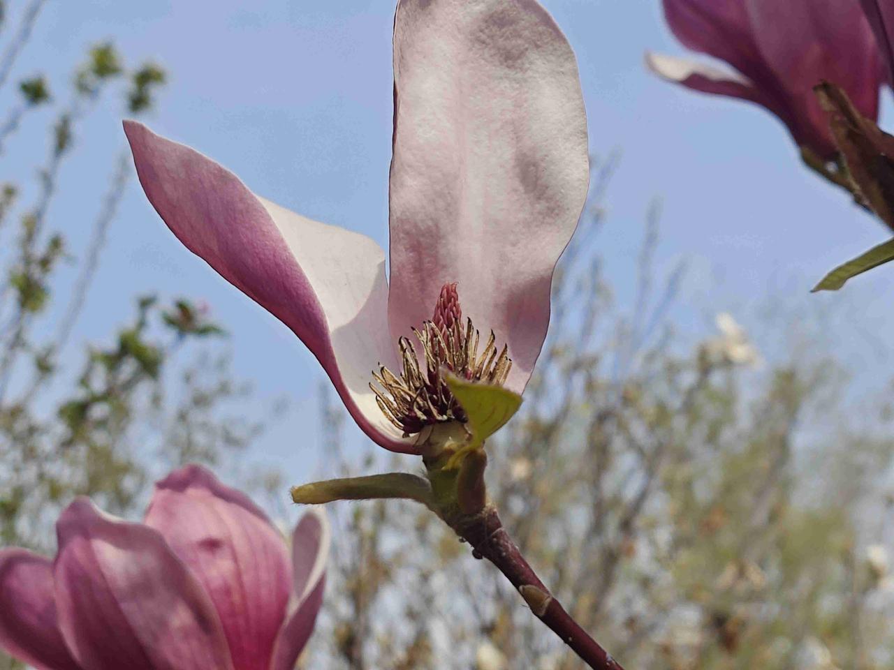 我的今日状态：🥲强颜欢笑
我这里的天气：☀️晴天