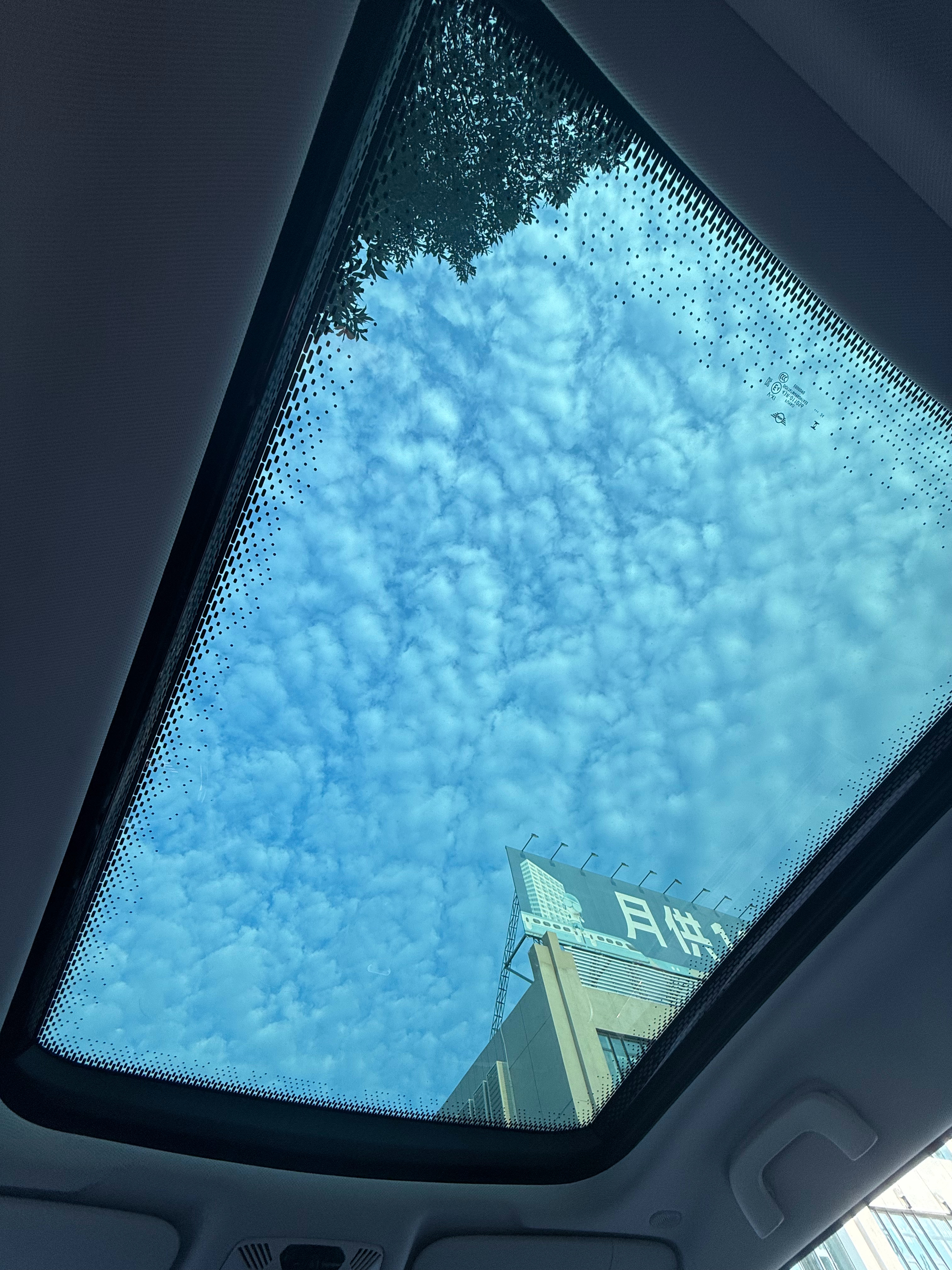 网约车电车晕车的原因这就是我出门大多数选择开车的原因有些师傅真的动能回收开的很高