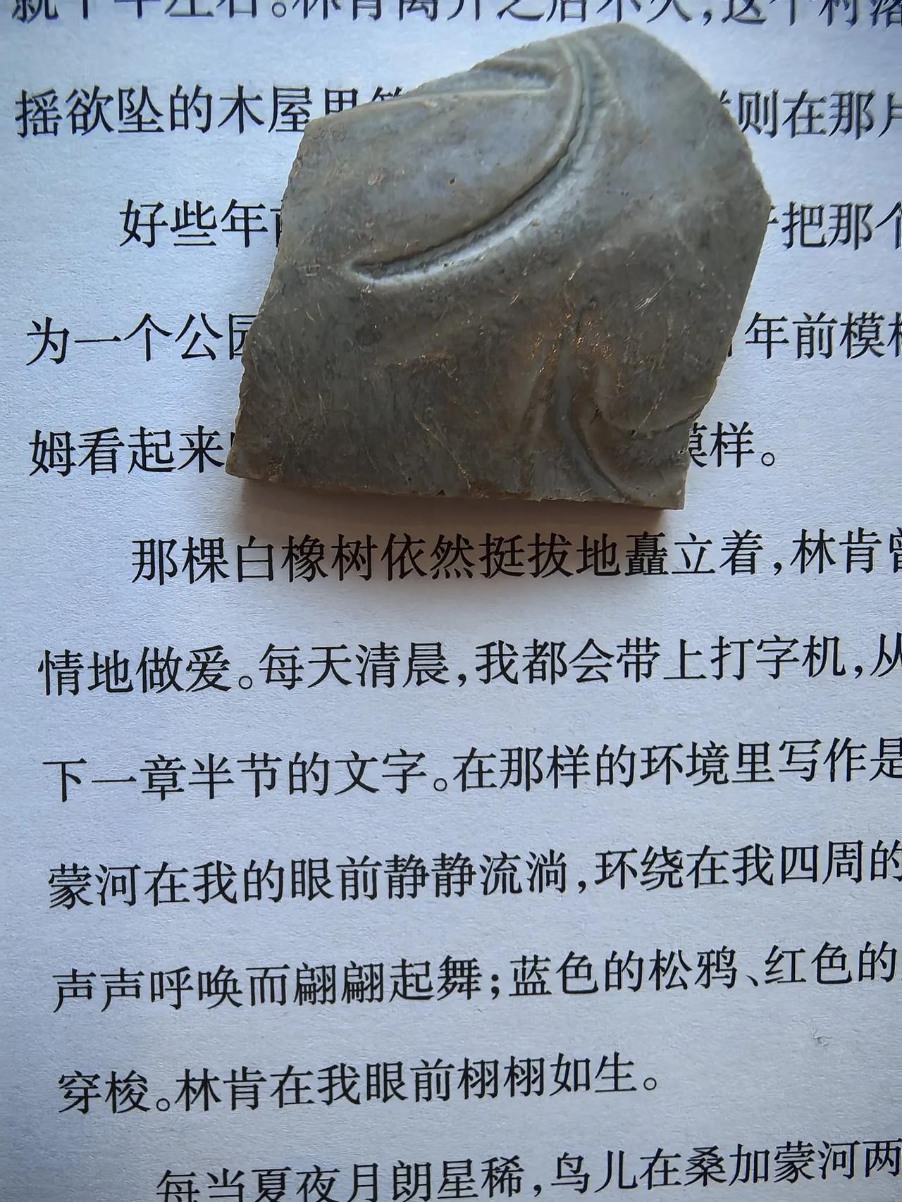 那棵白橡树依然挺拔地矗立着，林肯曾经在那棵树下学习，摔跤，忘情地做爱～[爱慕]