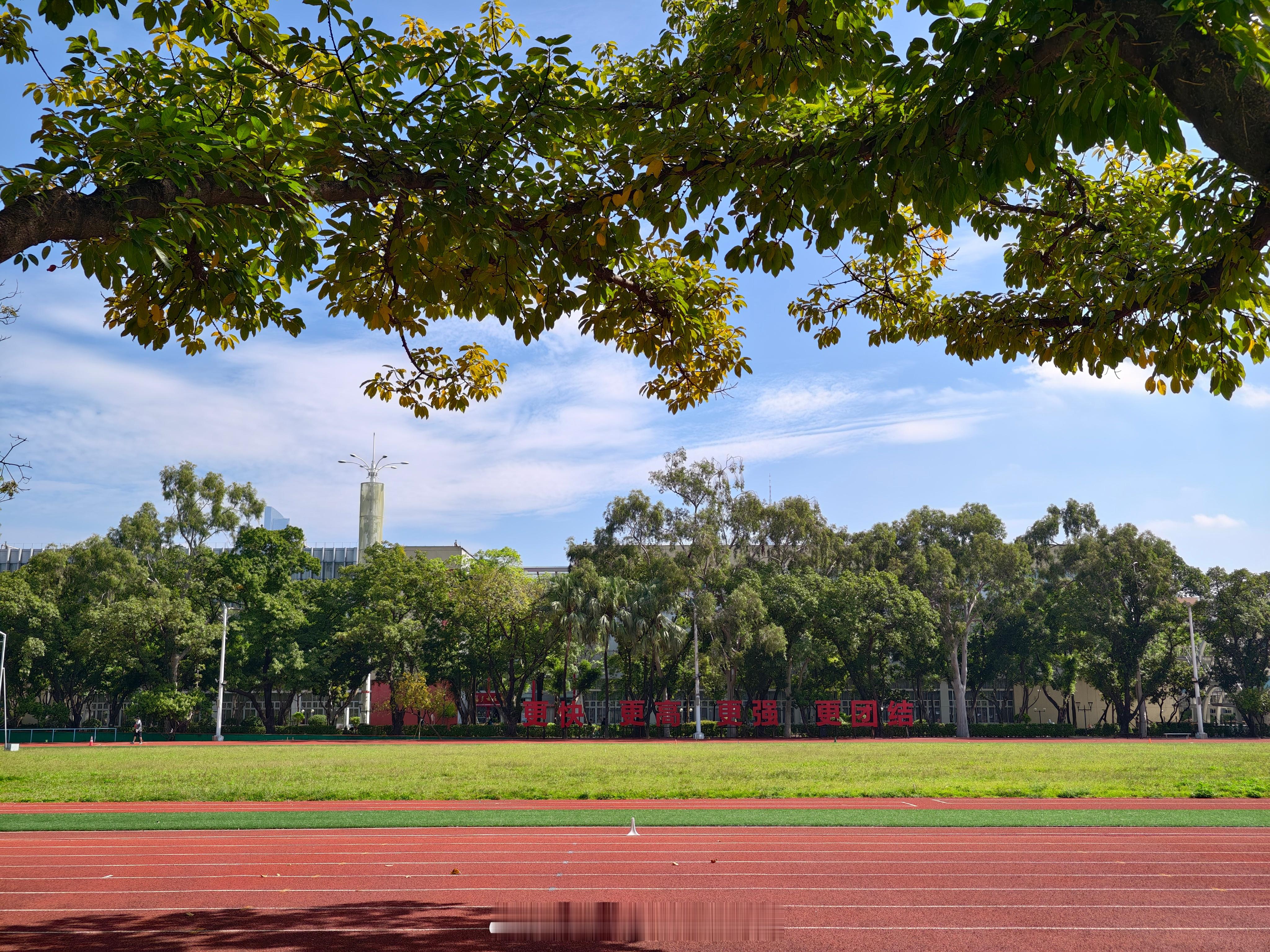全运会 开幕倒计时1天，全员备战中哈布尔的随行拍田径  ​​​