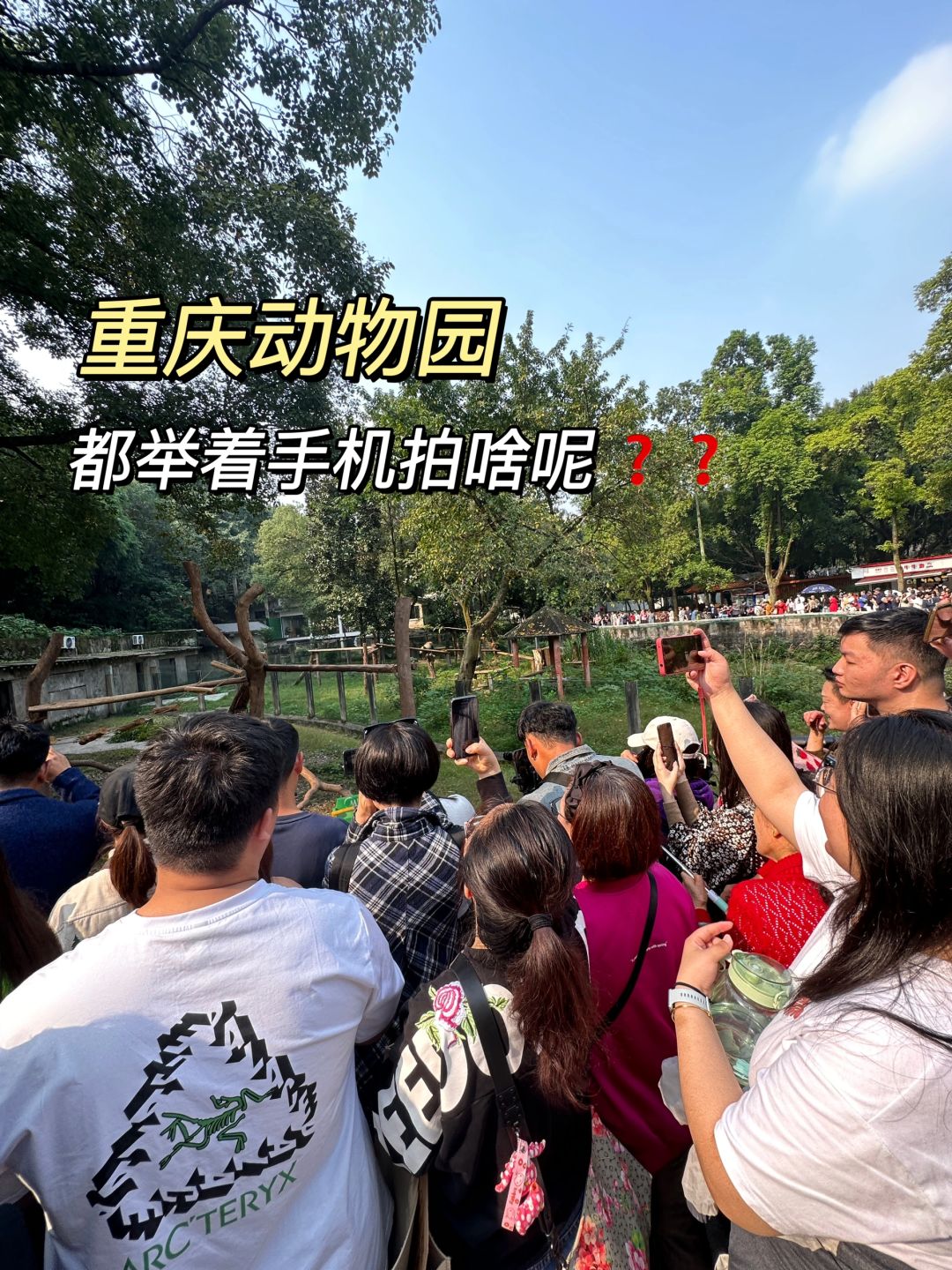 谁能解释一下重庆的这种现象吗😨
